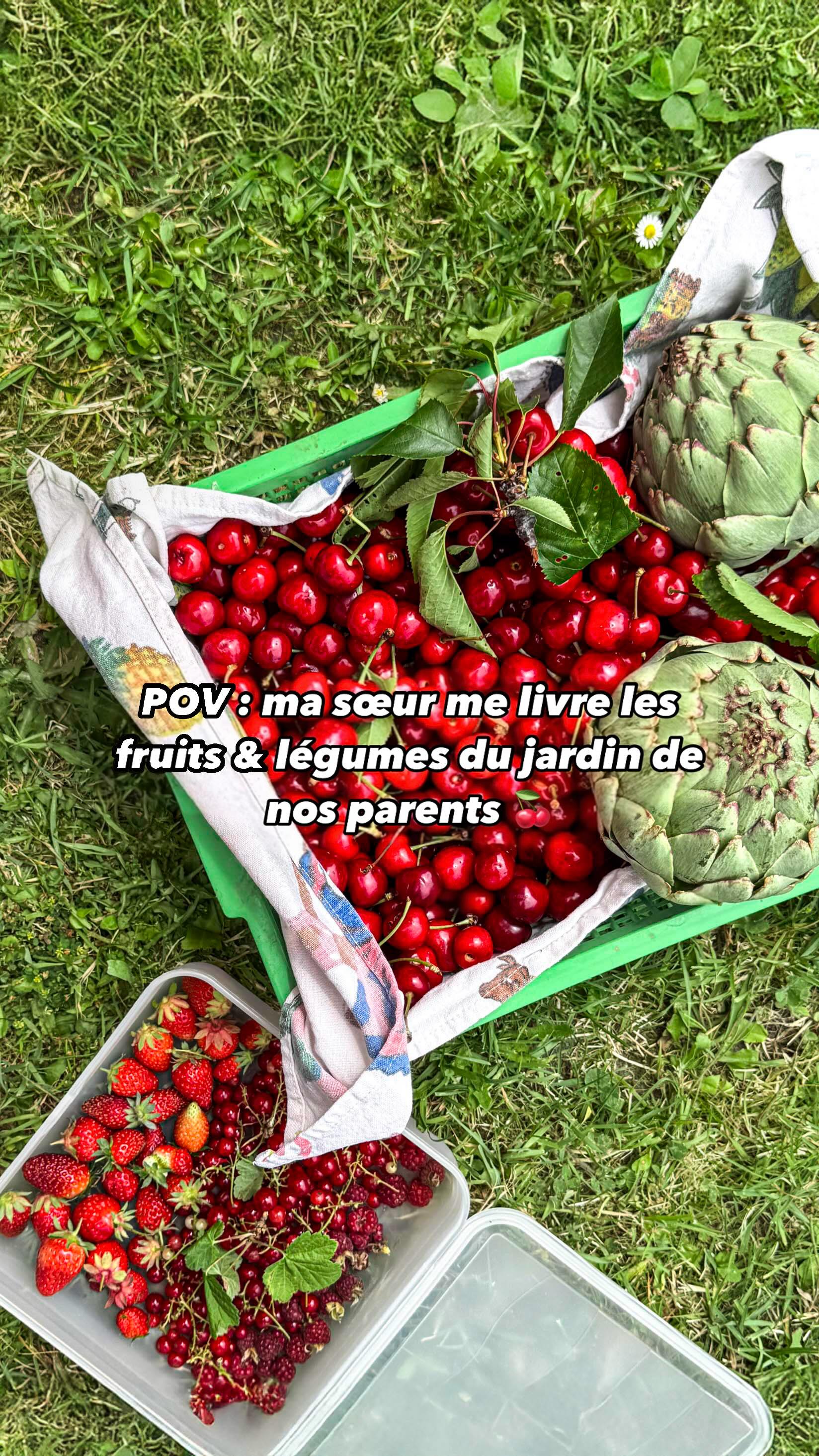 Très reconnaissante de pouvoir recevoir ce genre de livraison 🥹🍒 Merci papa & maman ❤️
Vous aussi vous avez la chance de déguster des fruits et légumes du jardin ? 🧑🌾
Et merci @mcbabette pour la livraison 📦🤍
#cerises #recolte #legumesdujardin #artichauds #fruitsrouges #fraisesdujardin #récolte #fruitsdesaison #fraises🍓 #mercipapamaman