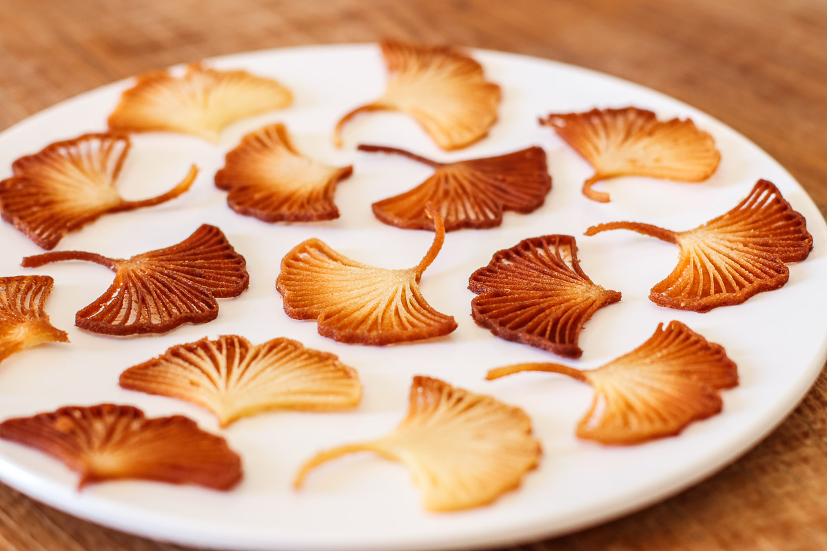 gros-plan-tuile-feuille-ginkgo
