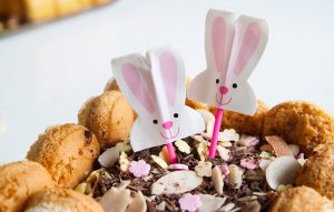 charlotte-chocolat-paques-agathe-duchesne-blog-recette-lapin