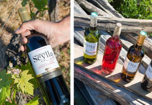 chateau-scylla-vin-vignoble-bordeaux-agathe-duchesne-blog-agatwe-bouteilles