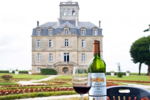 chateau-larose-trintaudon-medoc-agathe-duchesne-blog-vin-dejeuner