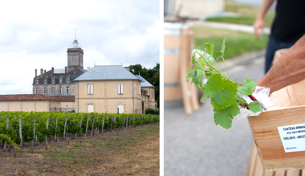 chateau-larose-trintaudon-medoc-agathe-duchesne-blog-vin-vignoble