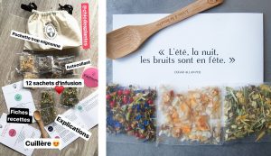 chic-des-plantes-muffin-raisin-agathe-duchesne-blog-rennes-colis