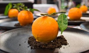 les-toqués-de-janzé-dejeuner-gastronomique-clementine