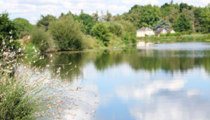 la-fabrique-julien-vern-seiche-rennes-agathe-duchesne-moulin-bruz