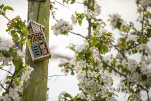 verger-de-la-blottiere-agathe-duchesne-blog-ecoresponsable